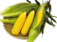 corn_pic1.jpg