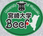 宮崎大学Beef.JPG