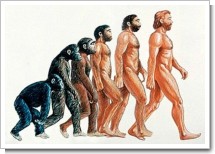 進化.jpg