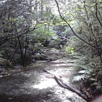 090702_1127~02.jpg