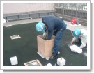 DSCF0681.JPG