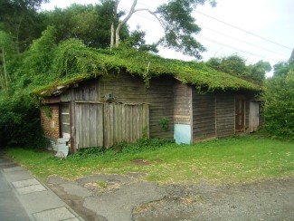 RIMG13924.JPG