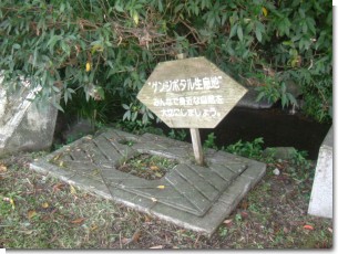 看板.JPG