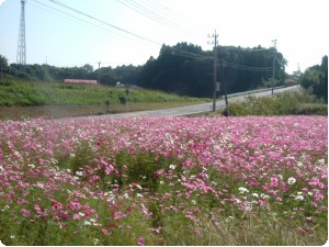 全景.JPG